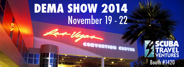 You are currently viewing Industry News…DEMA Show 2014 to be held in Las Vegas