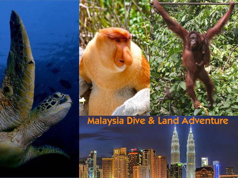 Malaysia Dive & Land Adventure