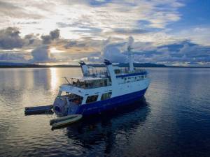 Solomon Islands – Taka Live Aboard