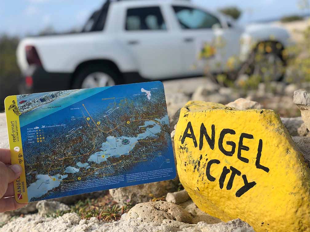 bonaire scuba diving