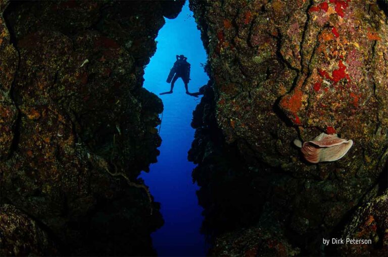 cayman islands scuba diving