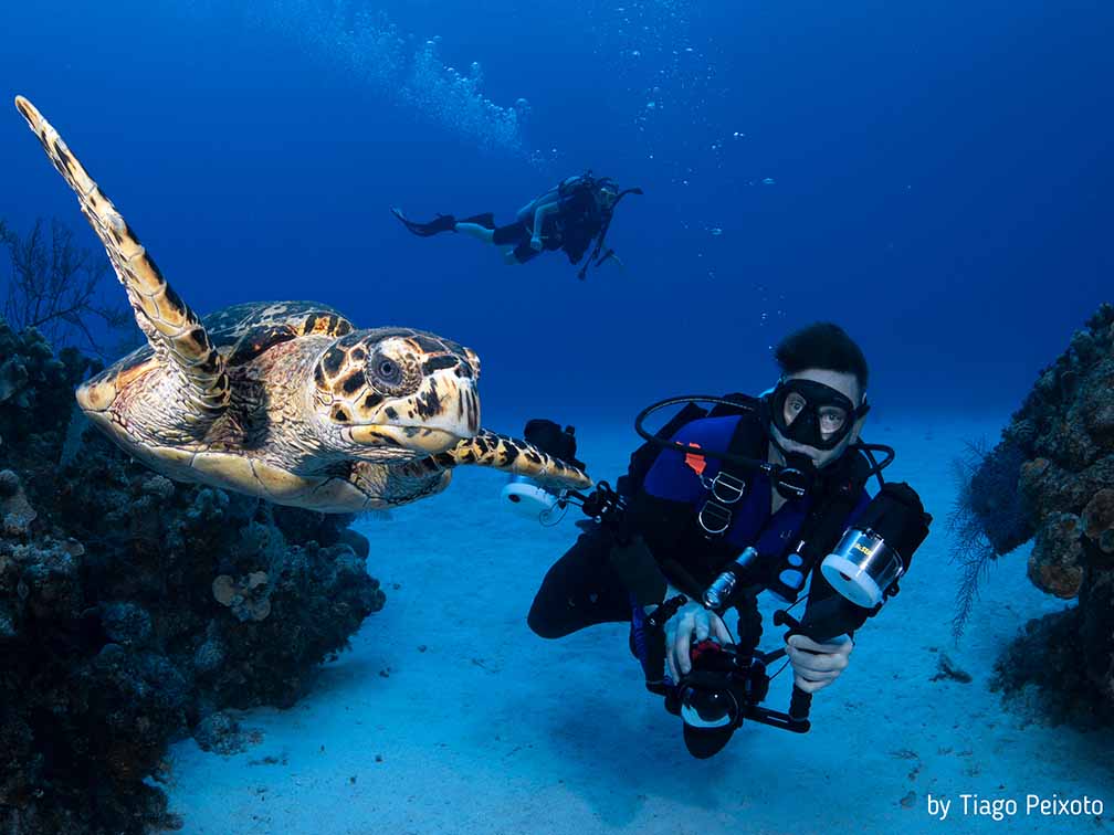 cayman islands scuba diving