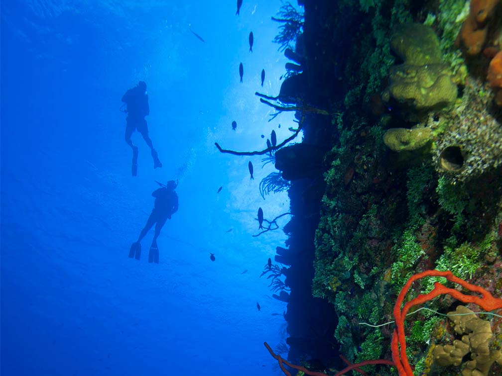 cayman islands scuba diving