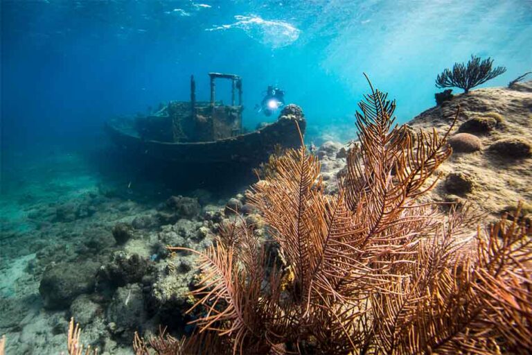 curacao scuba diving