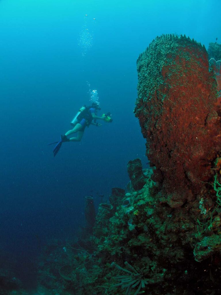 dominica scuba diving