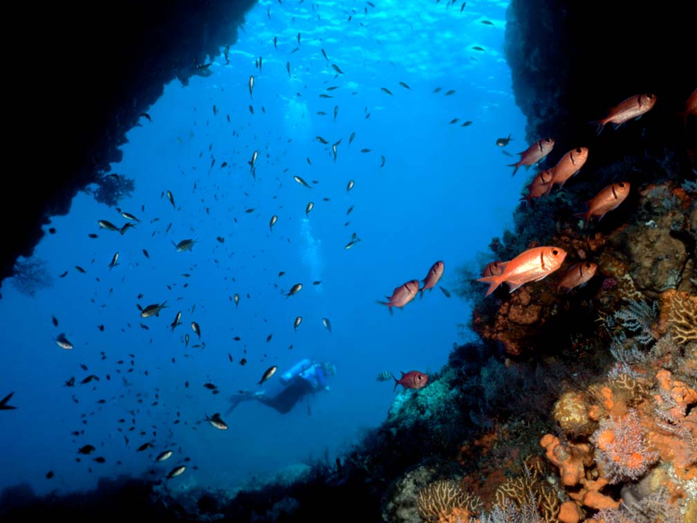 dominica scuba diving