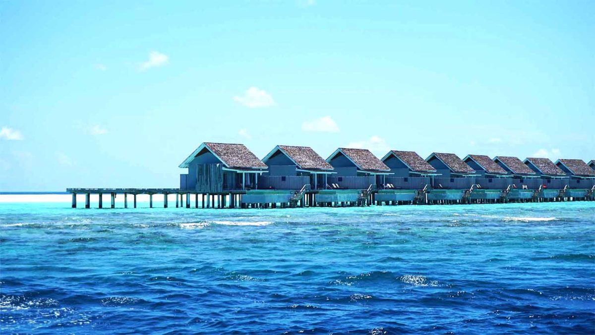blue force maldives